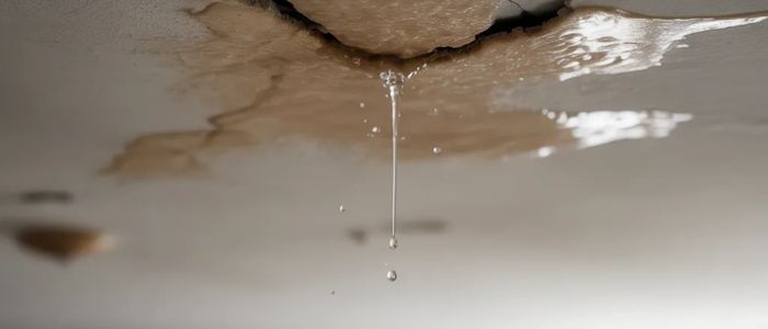 Roof Leaking